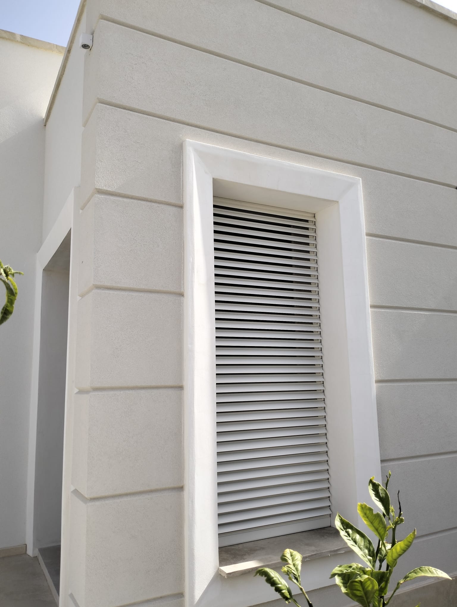 WhatsApp Image 2024-11-11 at 15.44.27