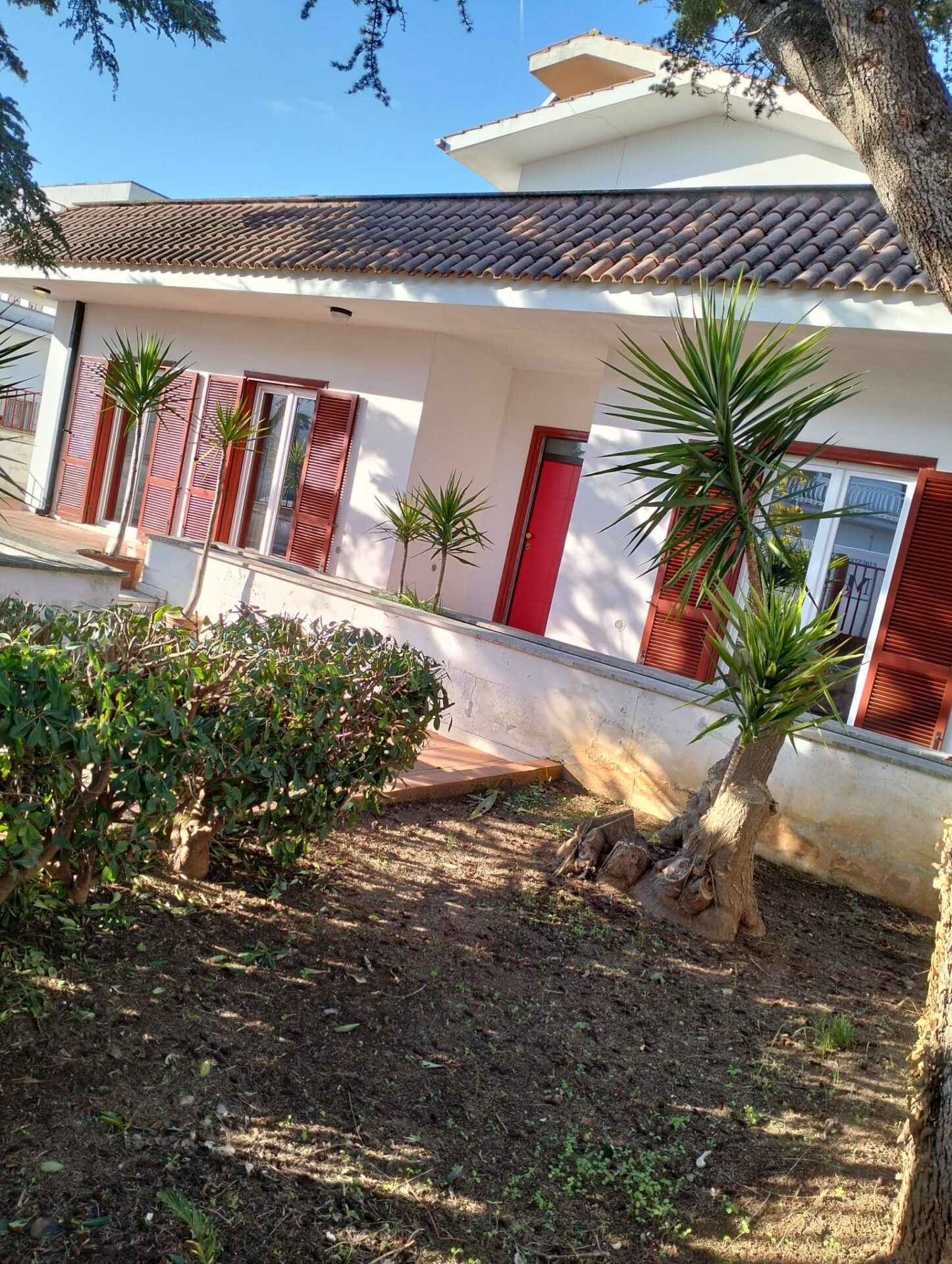 WhatsApp Image 2024-11-11 at 15.44.30